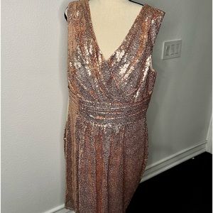 NWT Women’s Plus Size Jayden Rose Gold Cocktail Dress Size 2X